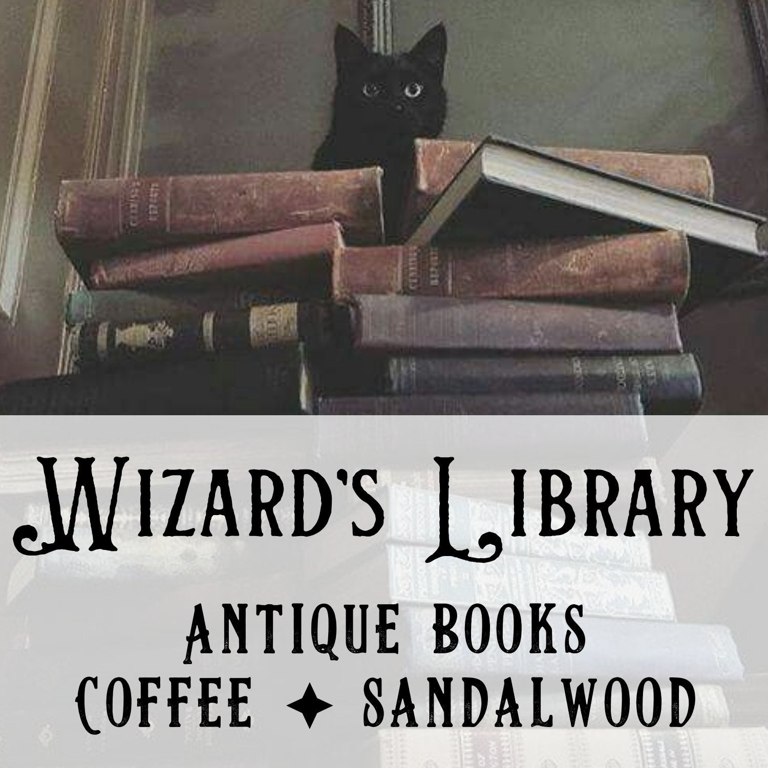 Wizard's Library
