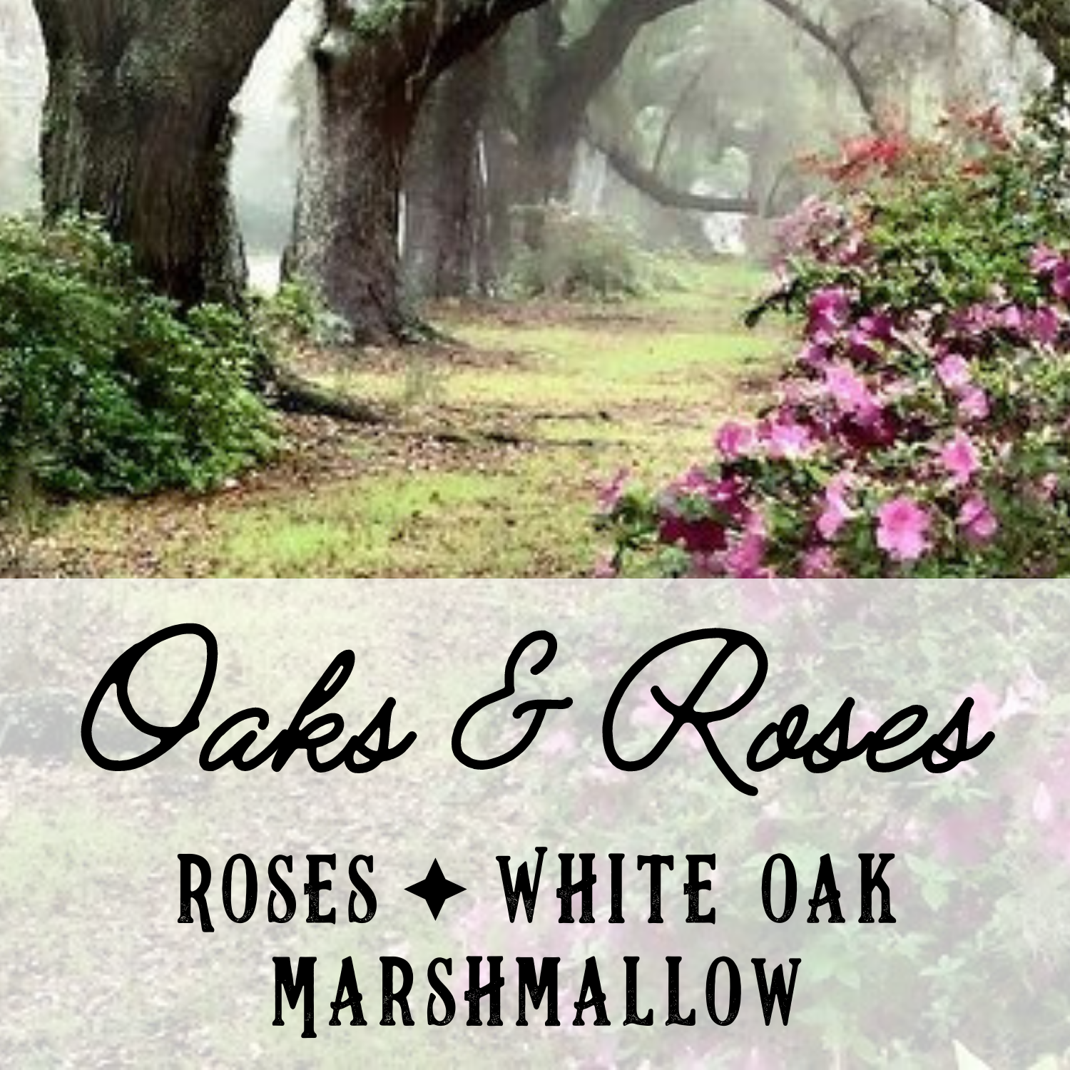 Oaks & Roses