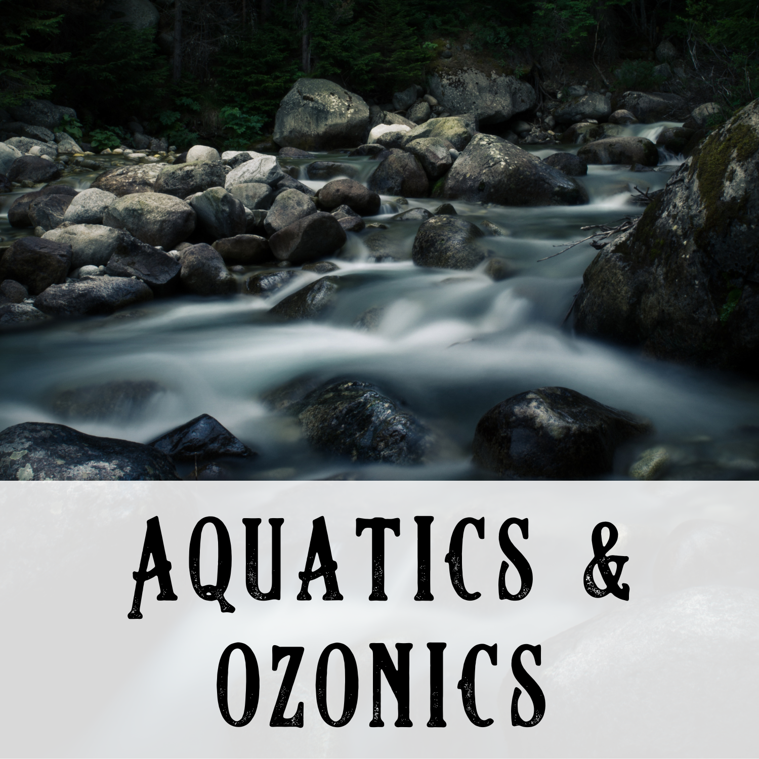 Aquatic & Ozonic