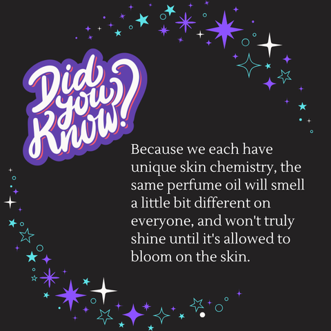 GENDER-NEUTRAL Perfume Oil Discovery Set - Birch & Besom