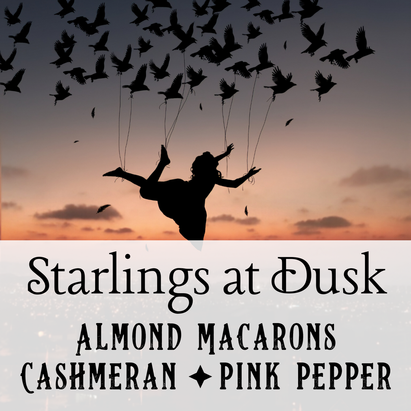 Starlings at Dusk Perfume Oil - Birch & Besom