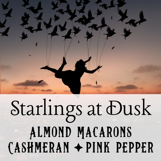 Starlings at Dusk Perfume Oil - Birch & Besom