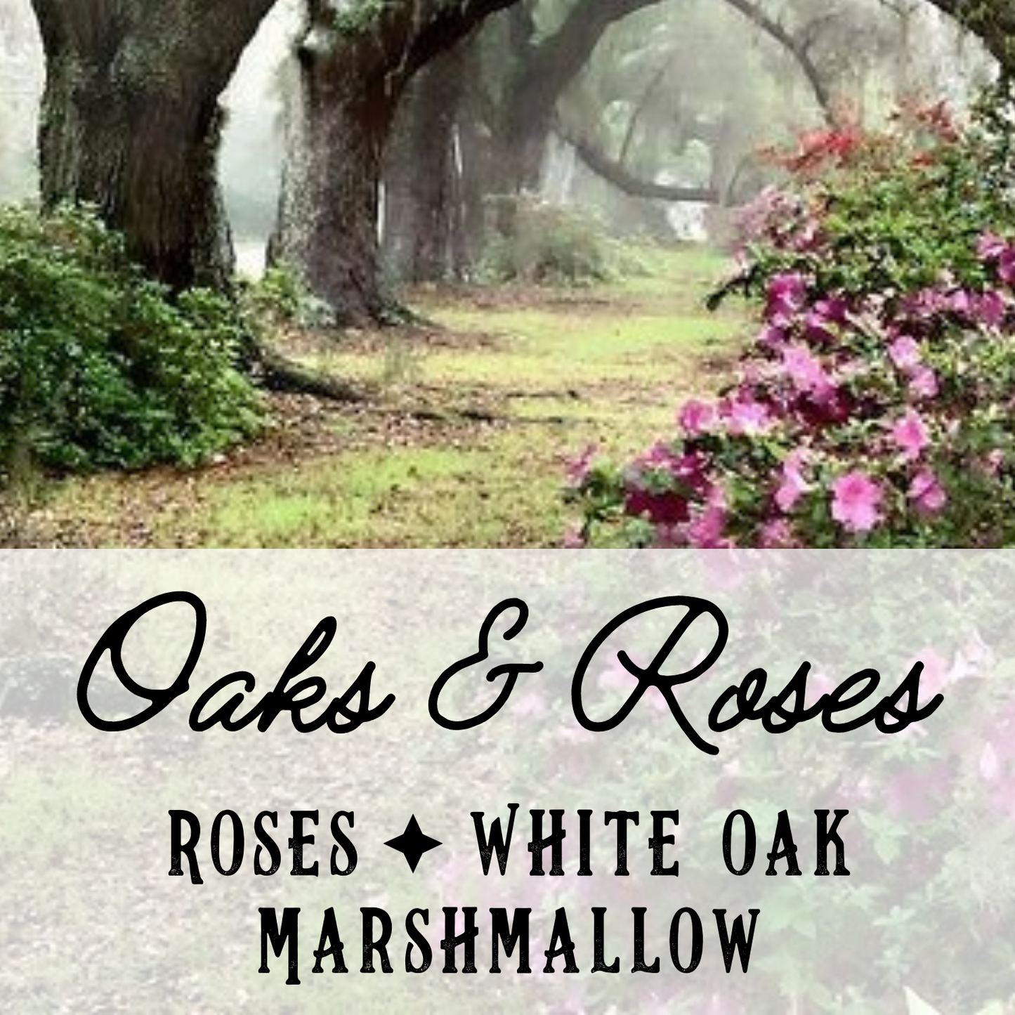 Oaks & Roses Fragrance Mist - Birch & Besom