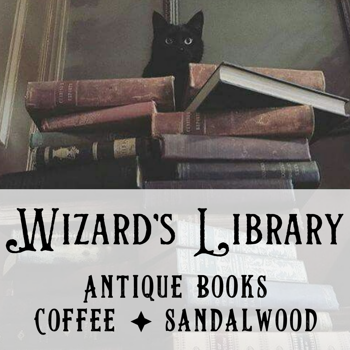 Wizard's Library Fragrance Mist - Birch & Besom