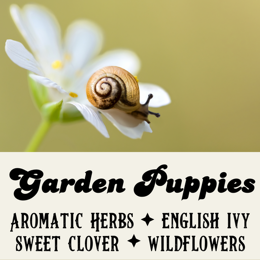 Garden Puppies - Birch & Besom