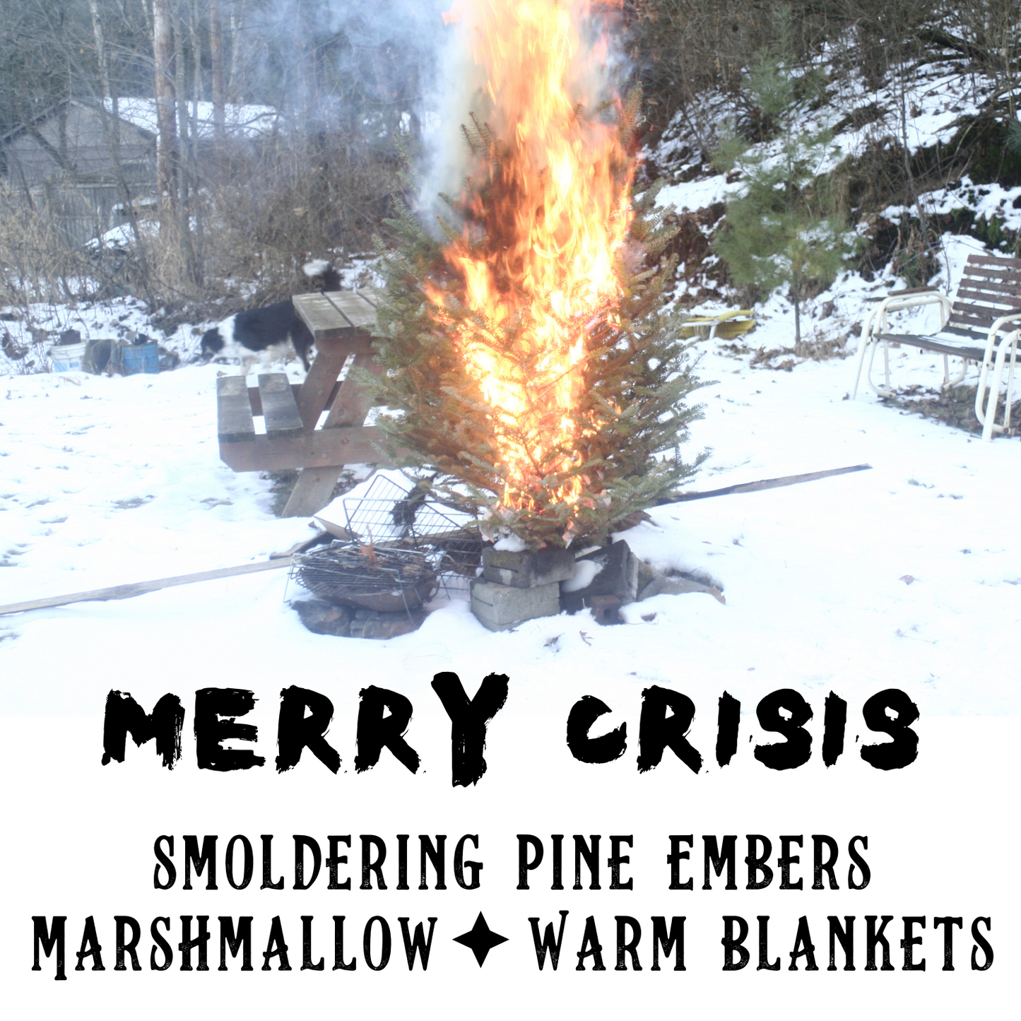 Merry Crisis Perfume Oil - Birch & Besom