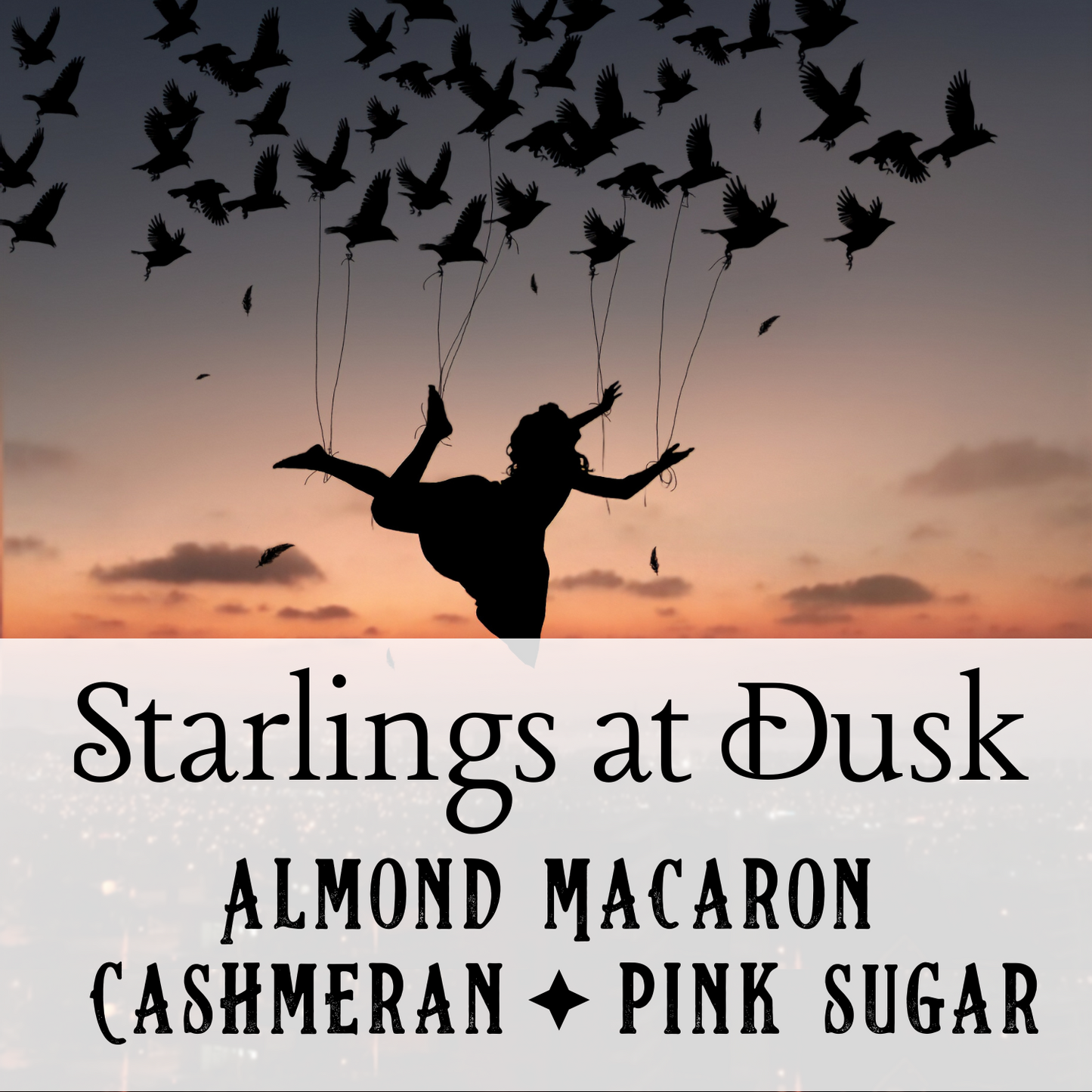 Starlings at Dusk Perfume Oil - Birch & Besom