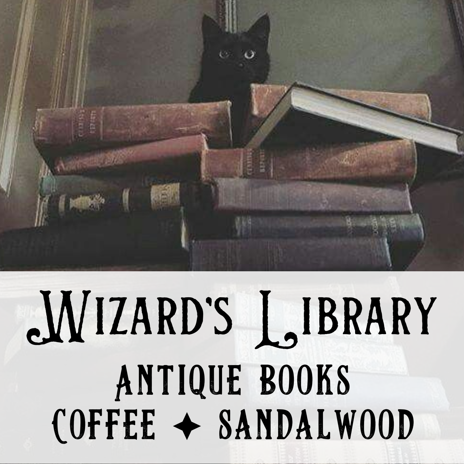 GENDER-NEUTRAL Perfume Oil Sample Set - Birch & Besom