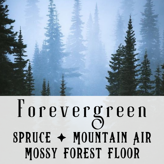 Forevergreen Perfume Oil - Birch & Besom