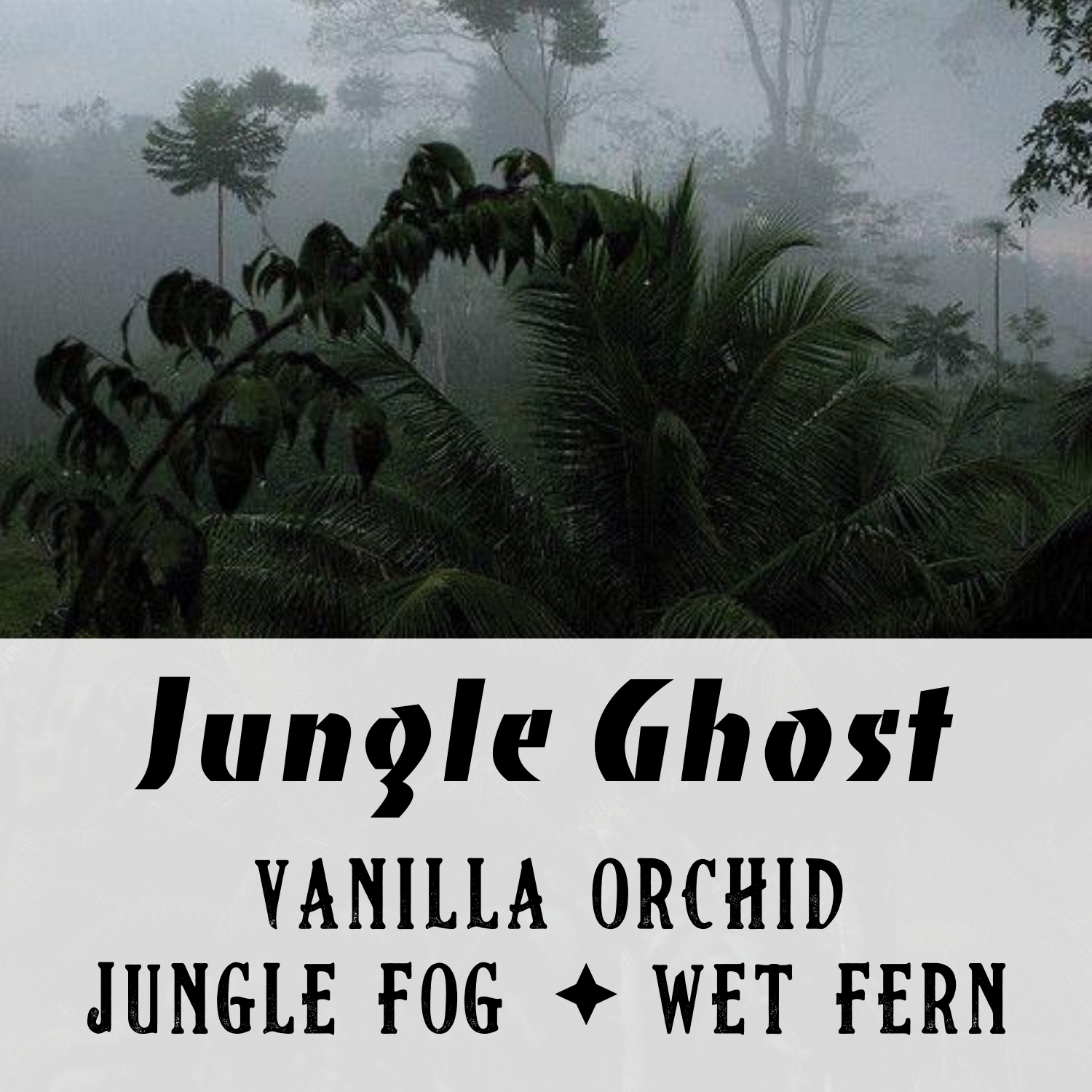 Jungle Ghost Perfume Oil - Birch & Besom