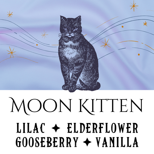 Moon Kitten - Birch & Besom