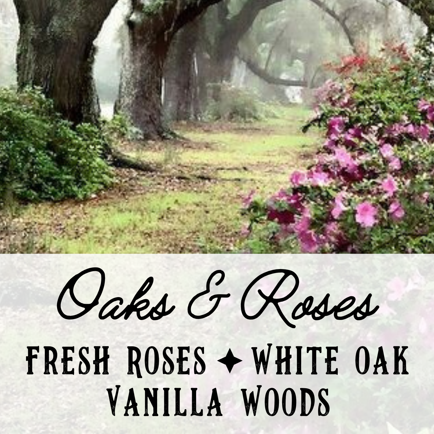Oaks & Roses Perfume Oil - Birch & Besom
