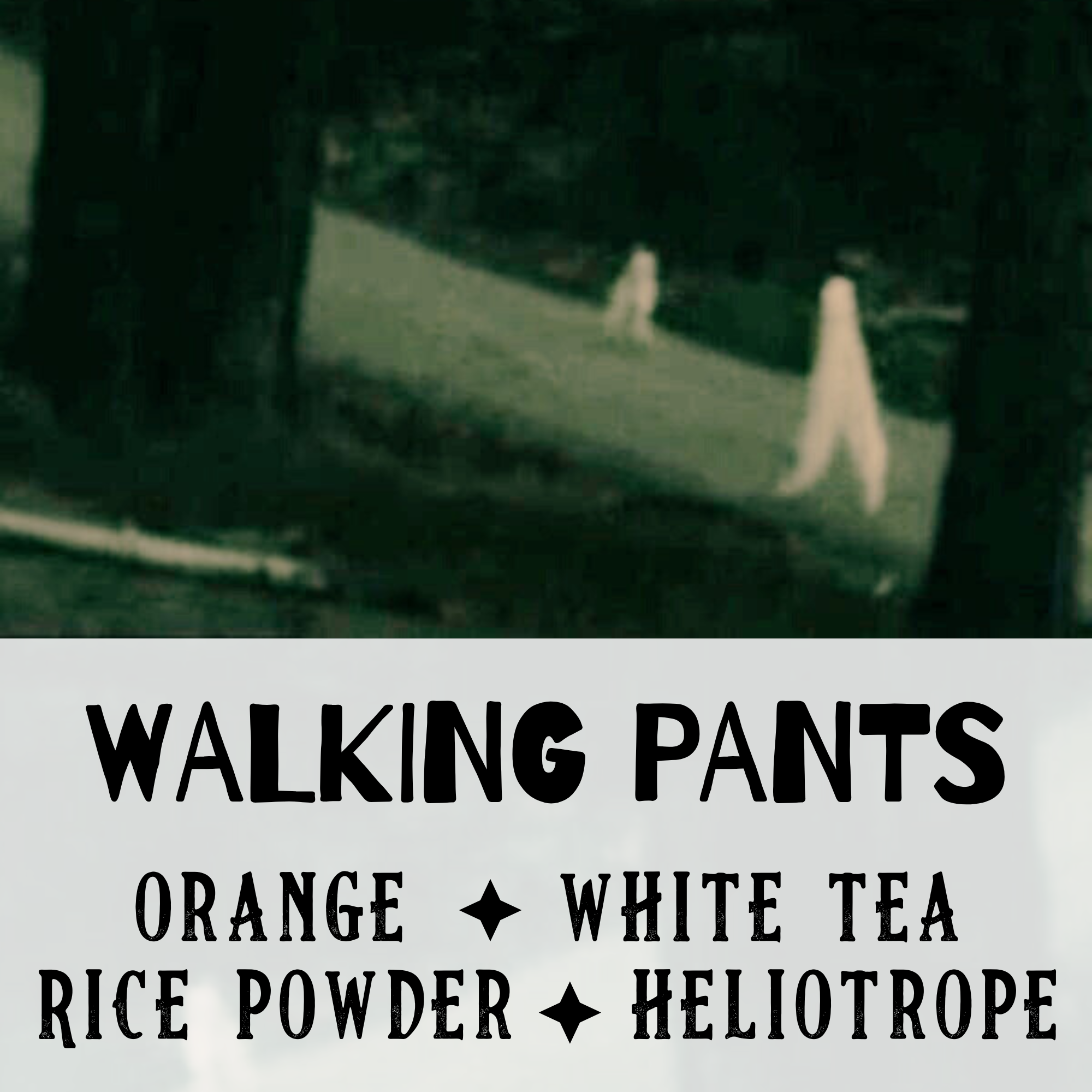 Walking Pants