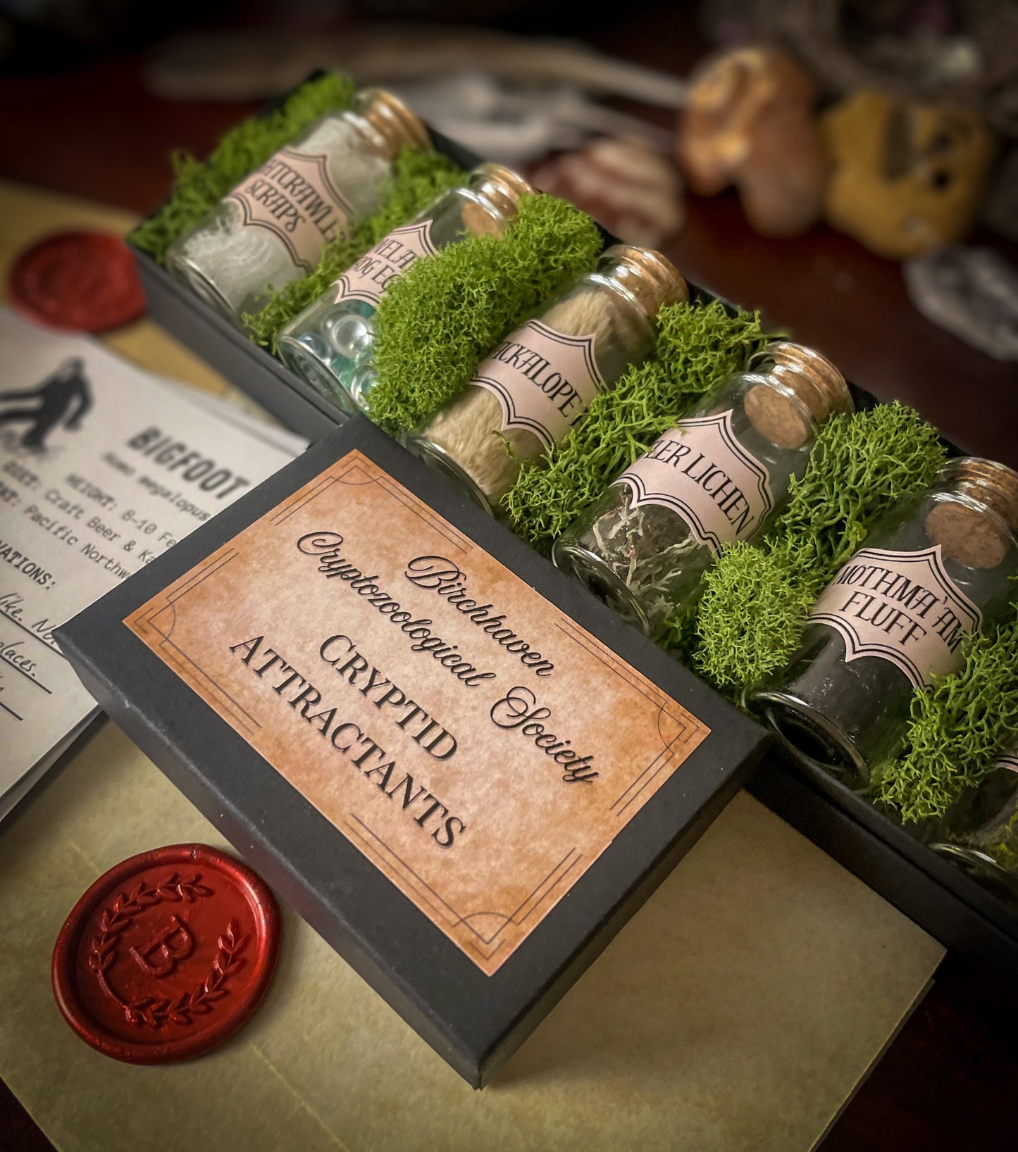 (PRE-ORDER) Cryptid Collector's Kit - Birch & Besom