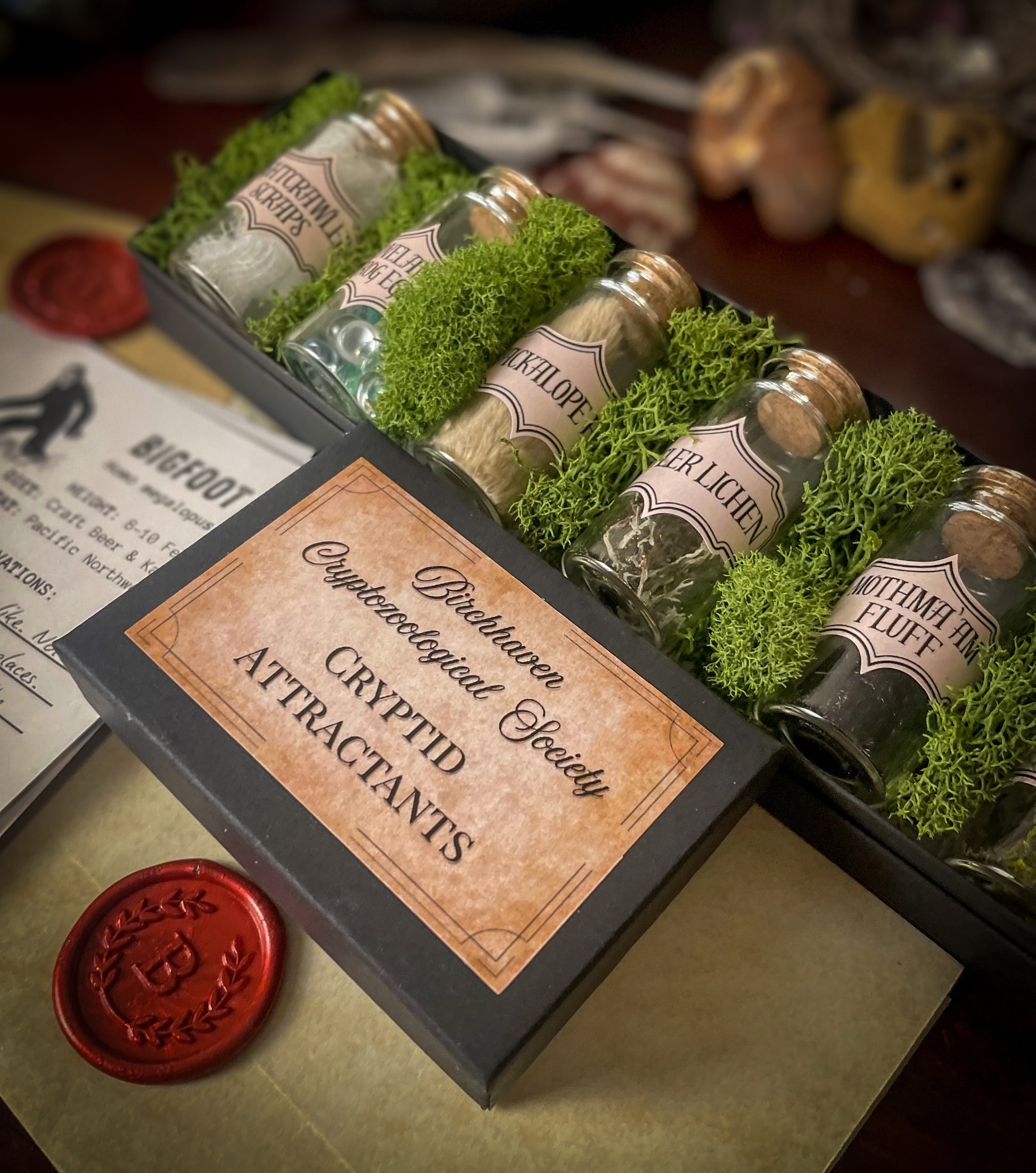 (PRE-ORDER) Cryptid Collector's Kit - Birch & Besom