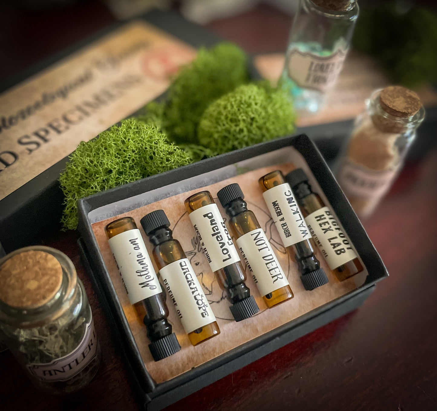 (PRE-ORDER) Cryptid Collector's Kit - Birch & Besom