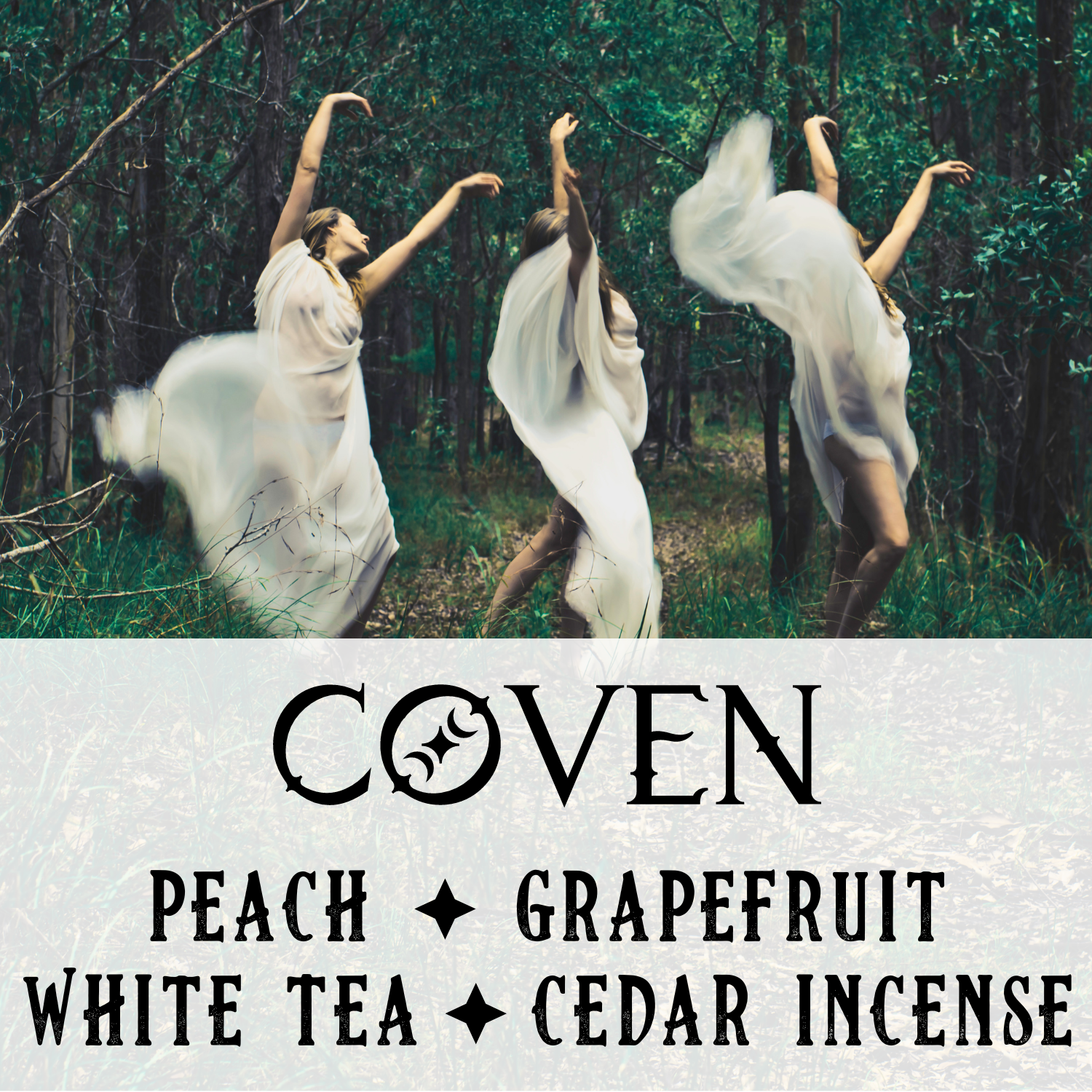 Coven - Birch & Besom