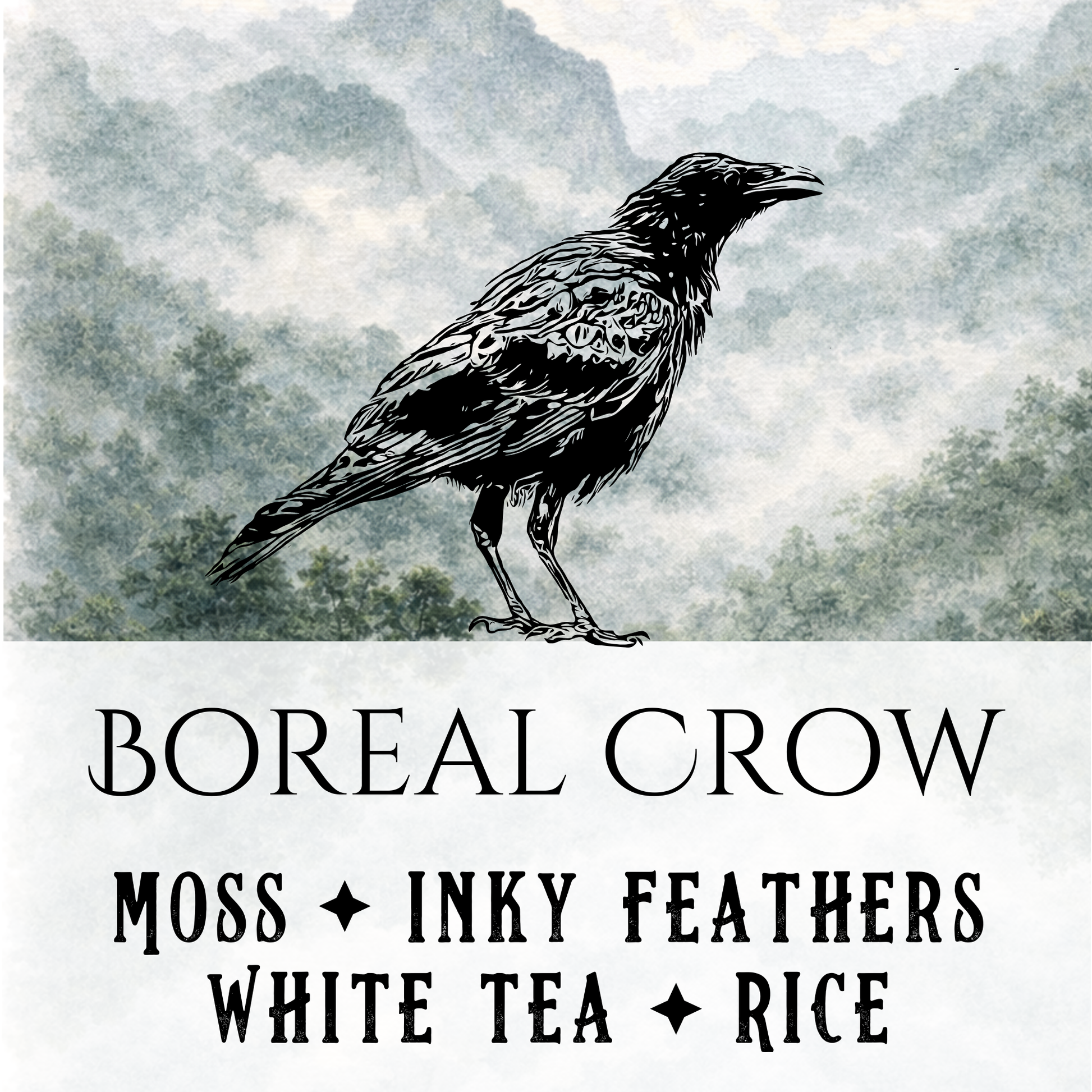 Boreal Crow - Birch & Besom