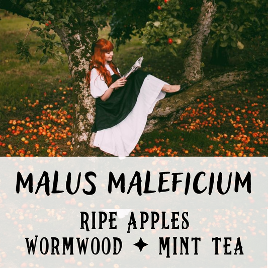 Malus Maleficium - Birch & Besom