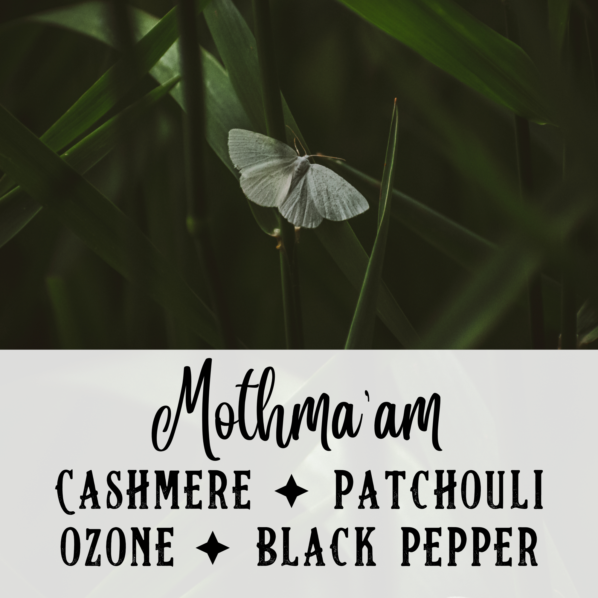 Mothma'Am