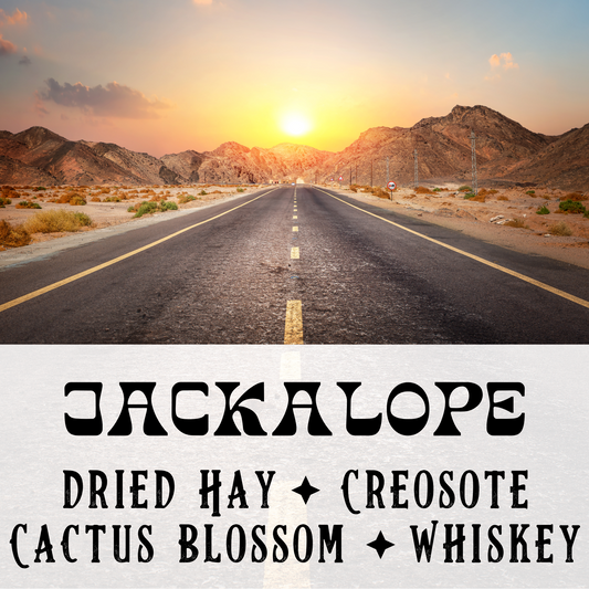 CRYPTIDS Perfume Oil Discovery Set - Birch & Besom