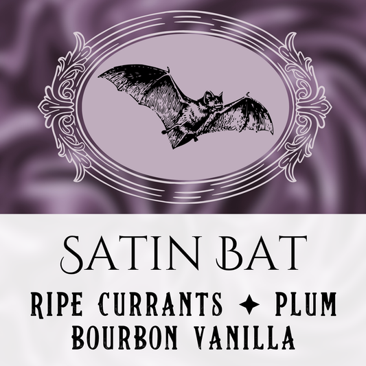Satin Bat