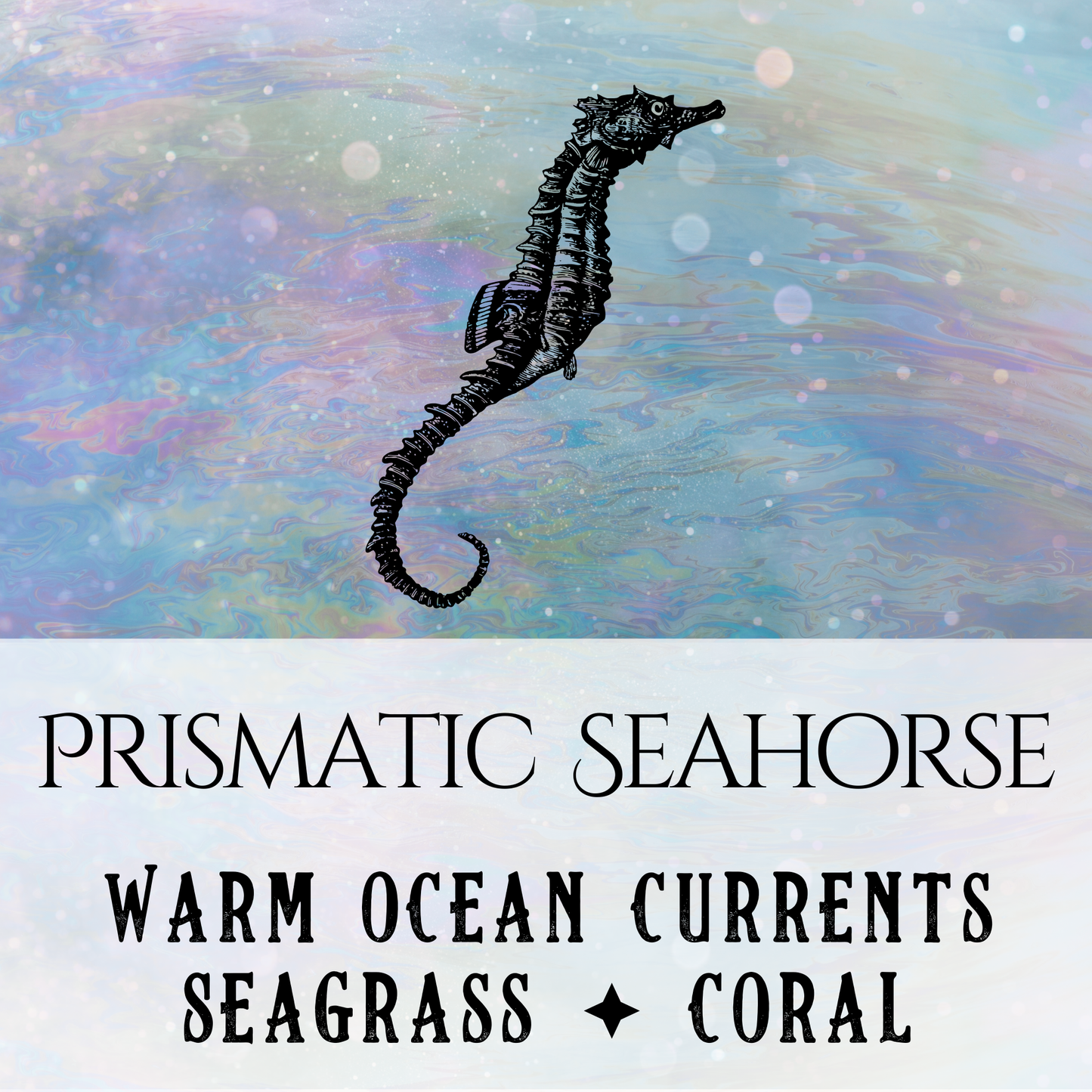 Prismatic Seahorse - Birch & Besom