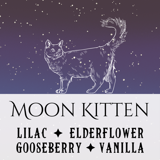 Moon Kitten